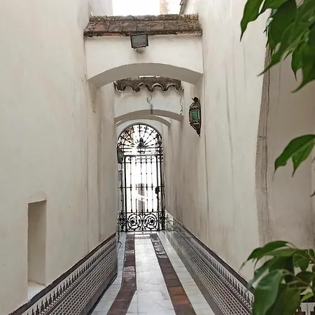 La Pequena Taifa I *